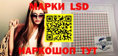 СК Новодвинск