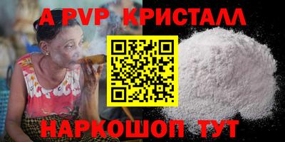 СК Новодвинск