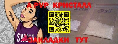 СК Новодвинск