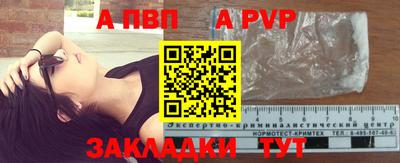 СК Новодвинск