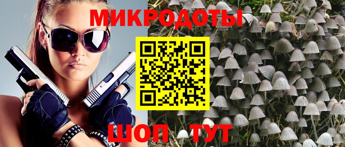 Галлюциногенные грибы Psilocybe Симферополь