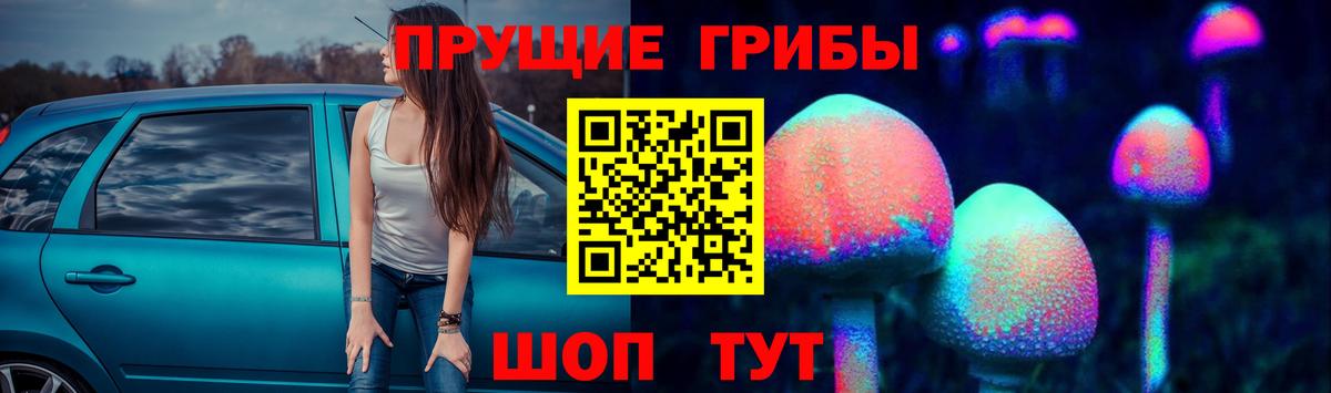 Симферополь  купить  сайты  Вход с VPN  Псилоцибиновые грибы Cubensis  Галлюциногенные грибы мицелий 